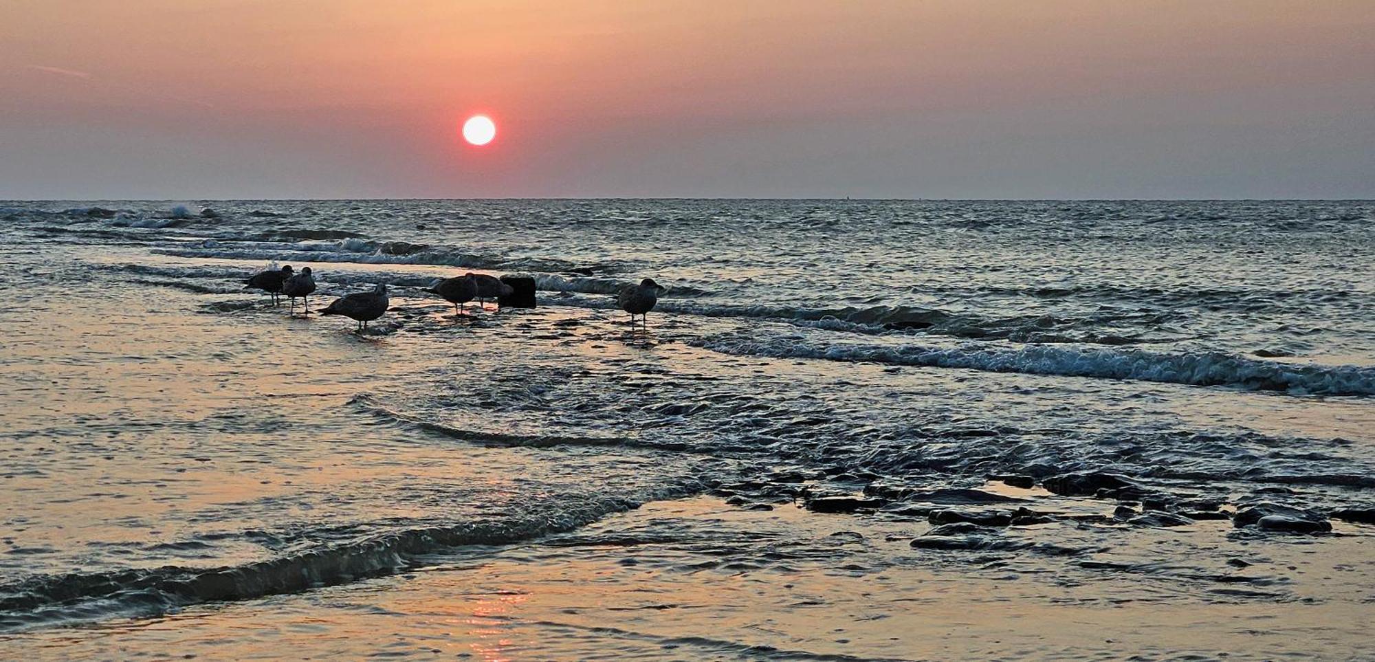 Zanddijk 113, Julianadorp Aan Zee Экстерьер фото